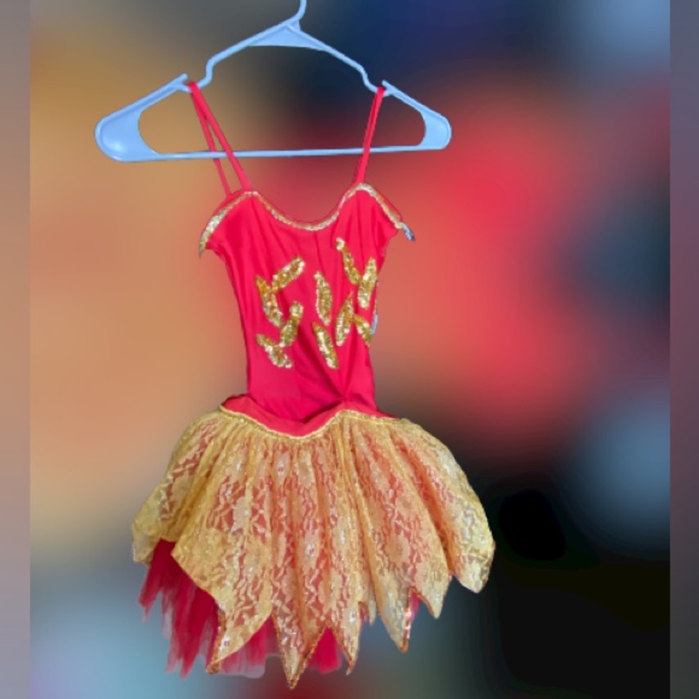 Girls fairy costume
